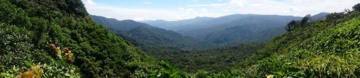 Reserva Biológica Bosque Nuboso Monteverde