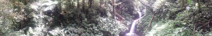 Reserva Biológica Bosque Nuboso Monteverde