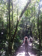 Reserva Biológica Bosque Nuboso Monteverde