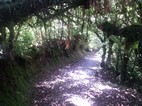 Reserva Biológica Bosque Nuboso Monteverde
