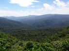 Reserva Biológica Bosque Nuboso Monteverde