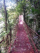 Reserva Biológica Bosque Nuboso Monteverde