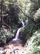 Reserva Biológica Bosque Nuboso Monteverde