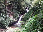 Reserva Biológica Bosque Nuboso Monteverde