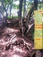 Acceso a Playa Conchal