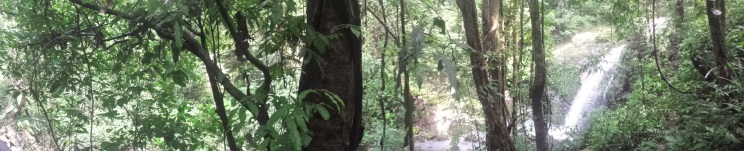 Parque Nacional Manuel Antonio Parque Nacional Manuel Antonio