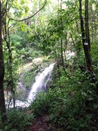 Catarata, PN Manuel Antonio