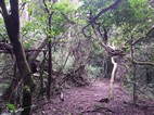 Parque Nacional Rincón de la Vieja