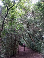Parque Nacional Rincón de la Vieja