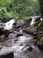 Catarata del bosque encantado, Parque Nacional Rincón de la Vieja
