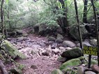 Parque Nacional Rincón de la Vieja