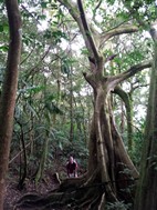 Parque Nacional Rincón de la Vieja