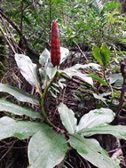 Parque Nacional Rincón de la Vieja