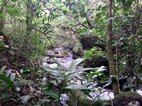 Parque Nacional Rincón de la Vieja