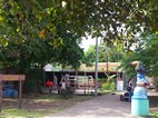 Pueblo de Tortuguero