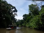 Navegación entre La Pavona y Tortuguero