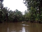 Navegación entre La Pavona y Tortuguero