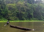 Paseo en canoa por los canales del Parque Nacional Tortuguero