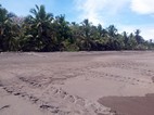 Rastro que dejan las tortugas en su  camino hacía el nido, Tortuguero
