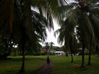 Pueblo de Tortuguero