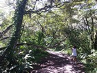 Parque Nacional Volcán Arenal