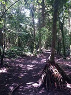 Parque Nacional Volcán Arenal