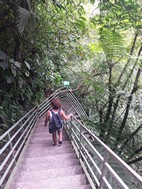 500 escalones de acceso a la Catarata Río Fortuna