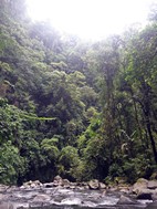 Catarata Río Fortuna