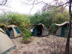Havennature Camplodge