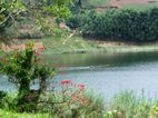 Lago Bunyonyi