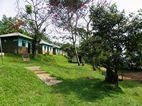 Buhoma View Bandas