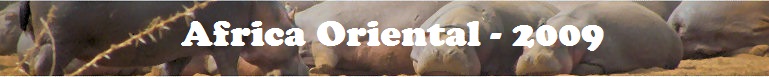Cabecera