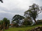 Botanical Gardens, Entebbe