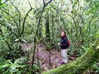 Kibale National Park