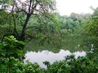 Lake Nkuruba