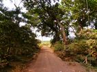 Variedad de paisajes en Manyara NP