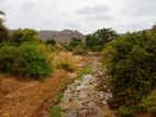 Variedad de paisajes en Manyara NP