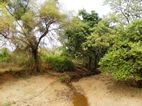 Variedad de paisajes en Manyara NP