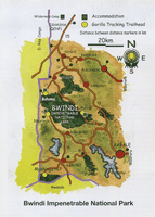 Bwindi Impenetrable NP