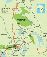 Distribución Gorilas