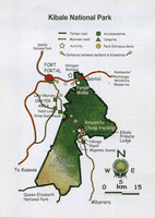 Kibale NP