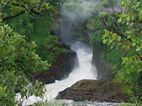 Murchison Falls