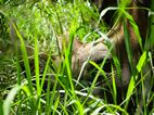 Ziwa Rhino Sanctuary
