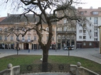 Plaza frente a la Catedral de San Martn