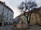 Plaza Františkánske