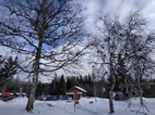 Štrbske Pleso
