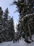 Paseo alrededor del lago Štrbské Pleso