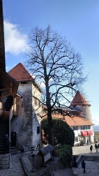 Castillo de Bled