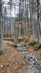 Camino que bordea el lago Bohinj