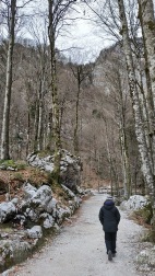 Camino que bordea el lago Bohinj
